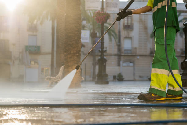 Best Gutter Cleaning  in Ripley, WV